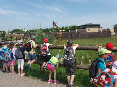 2019 WYCIECZKA DO ZOO ZAMOŚĆ_1