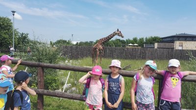 2019 WYCIECZKA DO ZOO ZAMOŚĆ_28