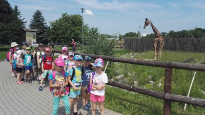 2019 WYCIECZKA DO ZOO ZAMOŚĆ_29