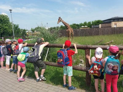 2019 WYCIECZKA DO ZOO ZAMOŚĆ_2