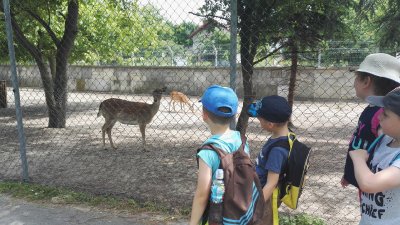 2019 WYCIECZKA DO ZOO ZAMOŚĆ_32