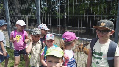 2019 WYCIECZKA DO ZOO ZAMOŚĆ_33