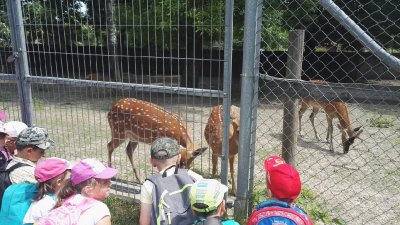 2019 WYCIECZKA DO ZOO ZAMOŚĆ_34